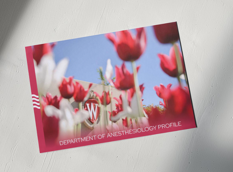 Cover of profile booklet with red and white tulips